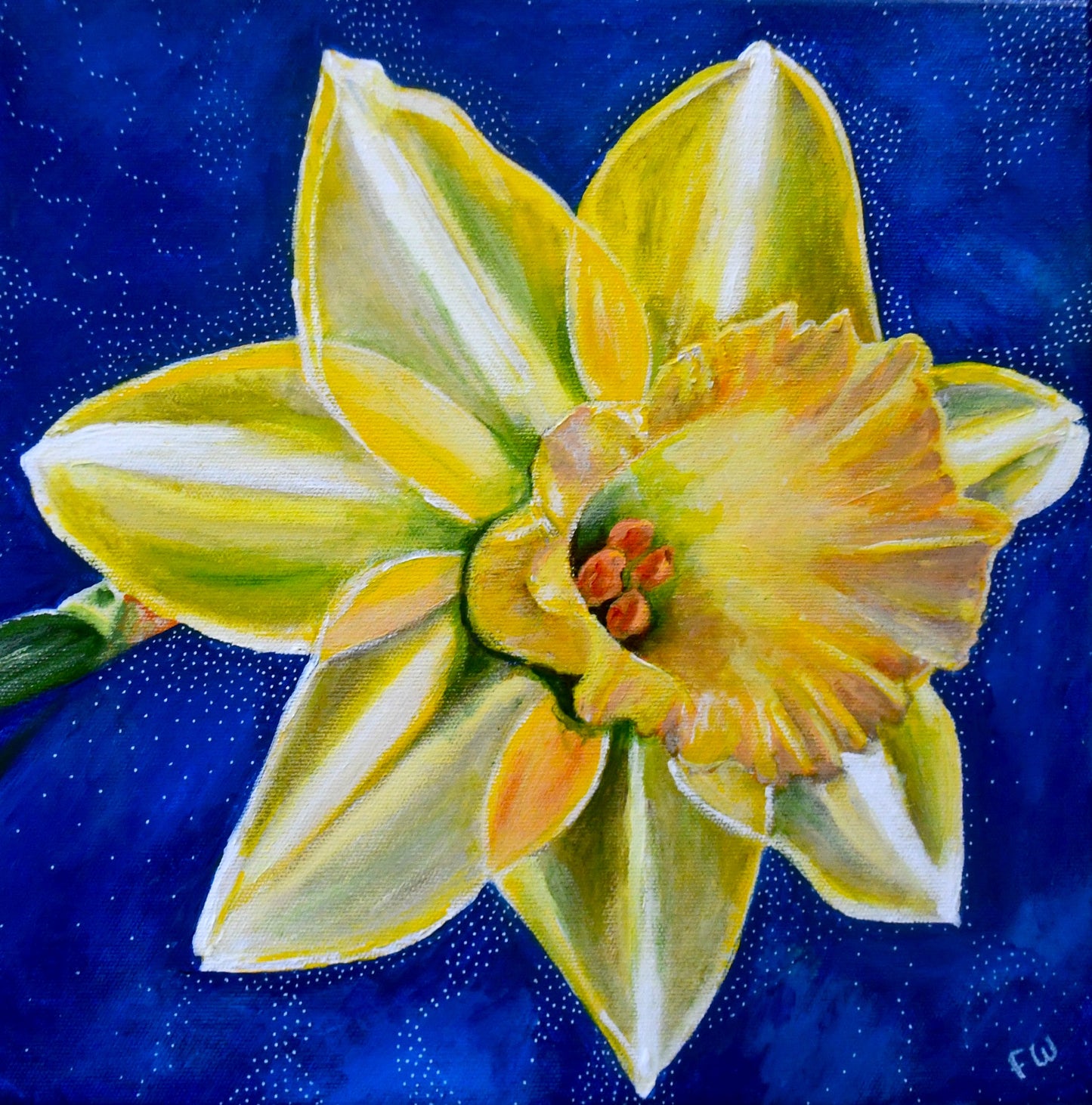 The Daffodil Who Knew