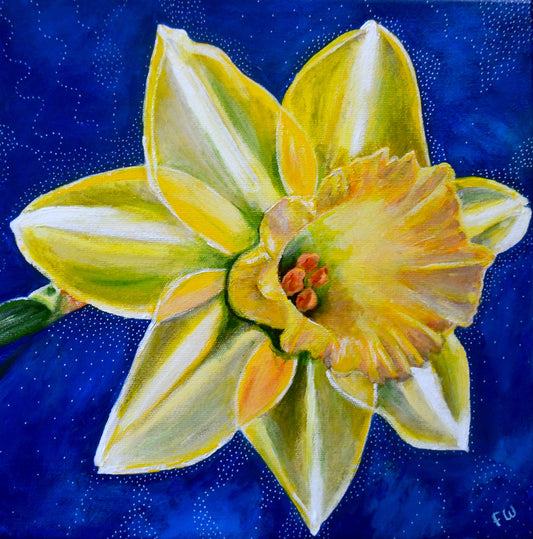 The Daffodil Who Knew