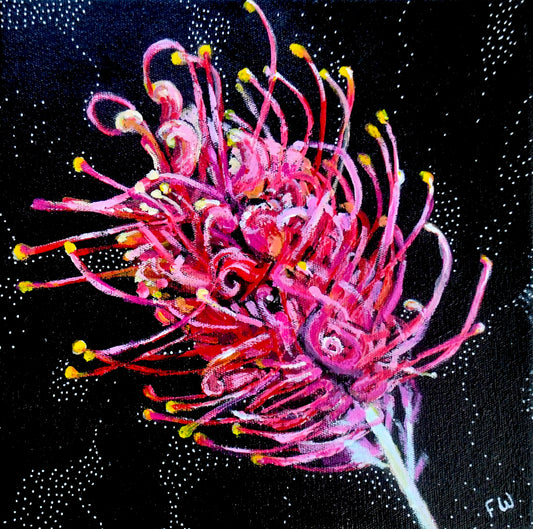 July Birth Flower - Grevillea