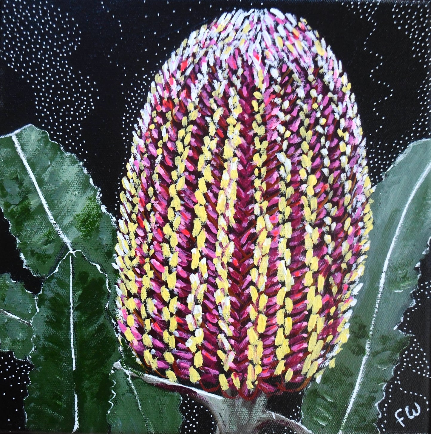 December Birth Flower - Banksia