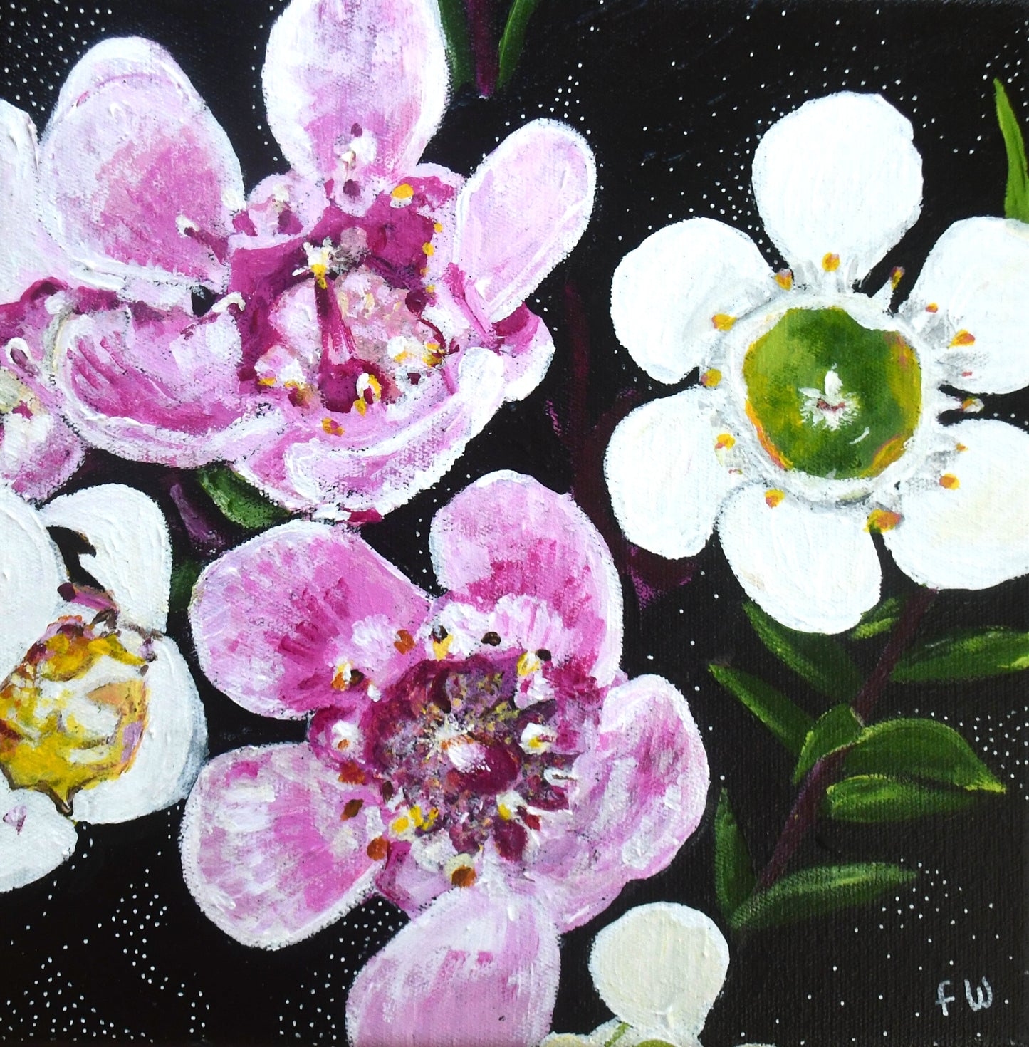 May Birth Flower - Wax Flower