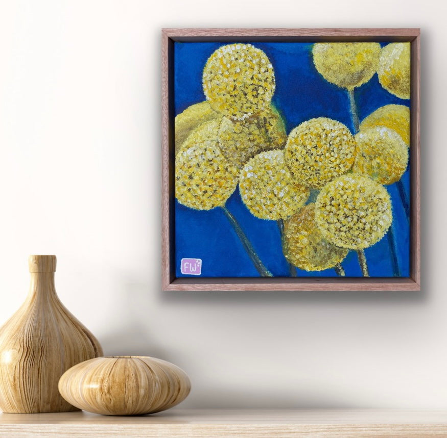Billy Buttons