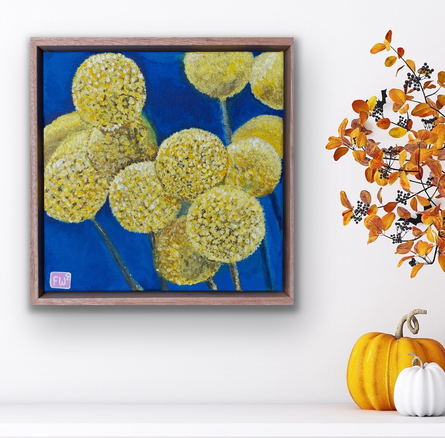 Billy Buttons