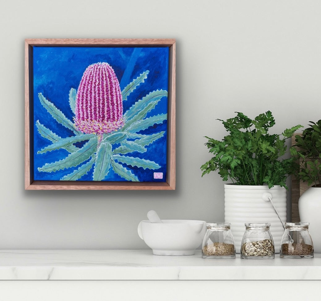 Pink Banksia