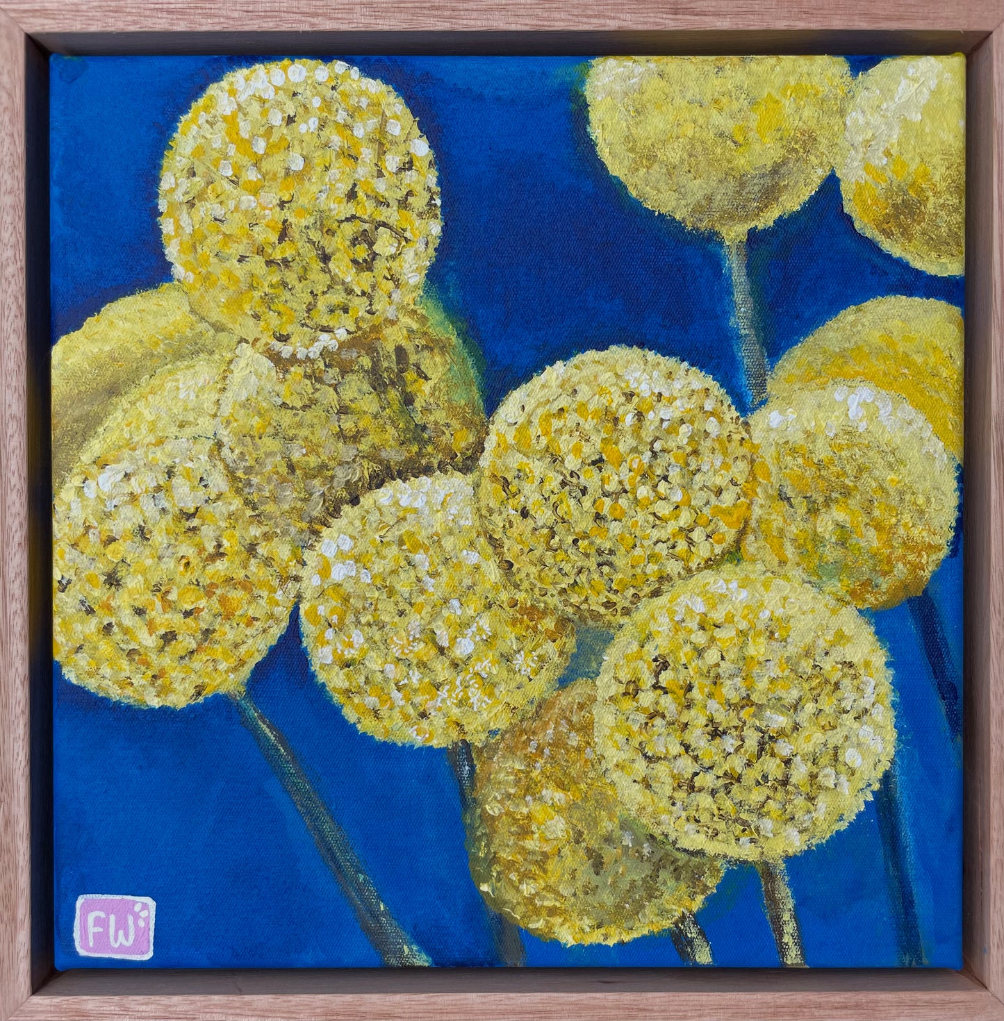 Billy Buttons