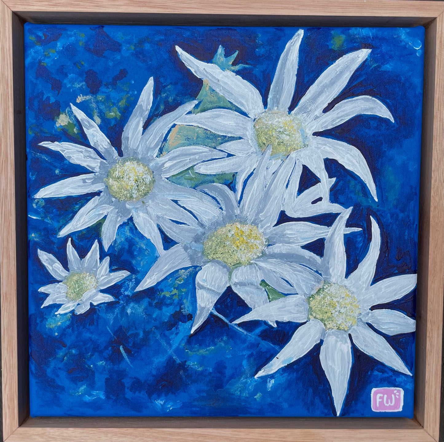 Flannel Flowers