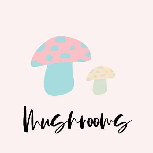 Ceramic Mushrooms & Flowers