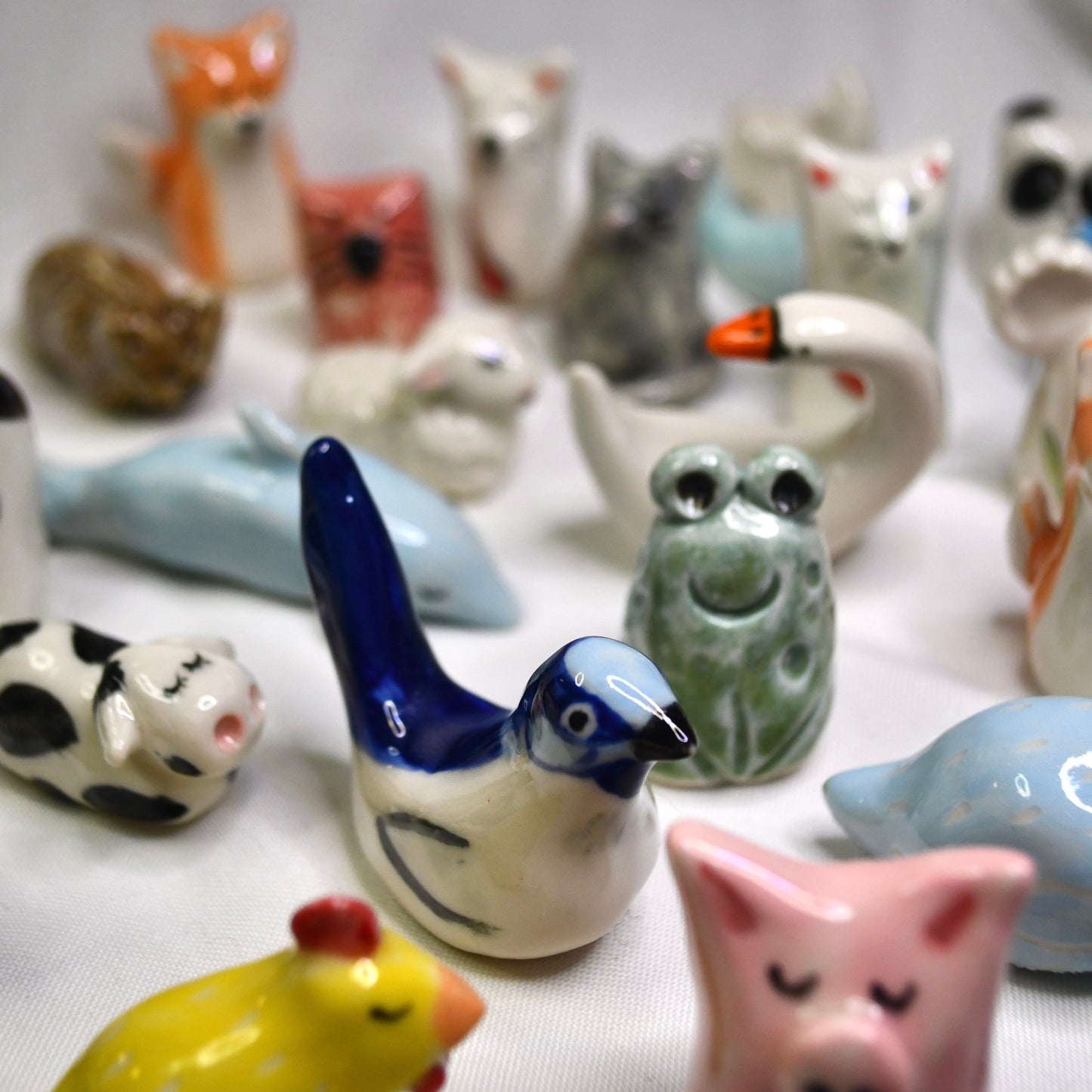Lucky Animals