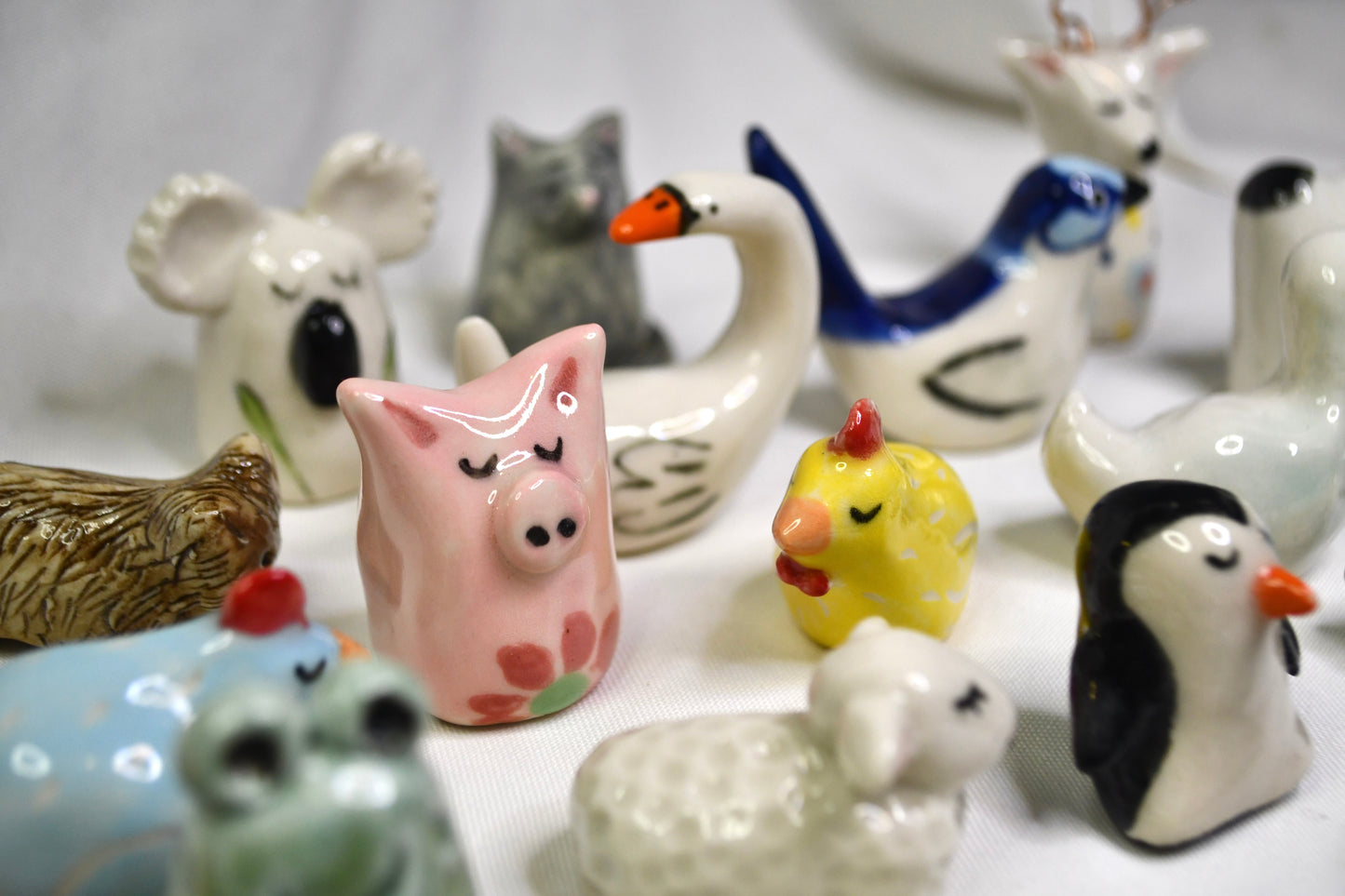 Lucky Animals