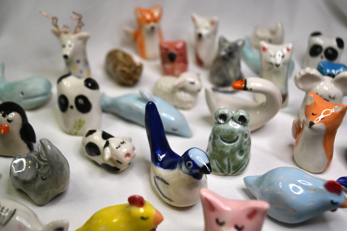Lucky Animals