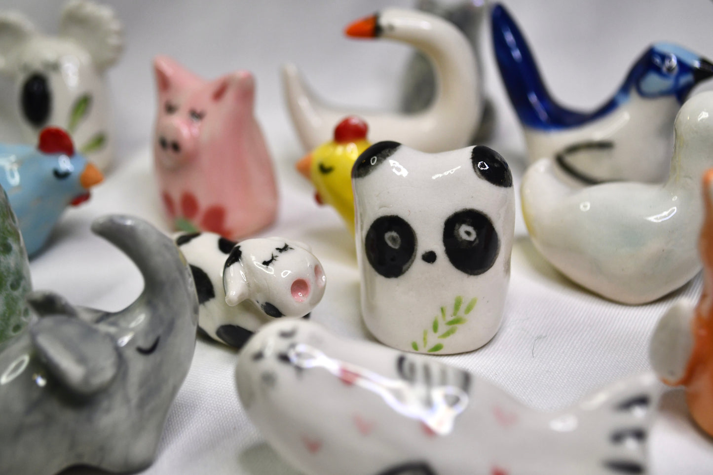 Lucky Animals