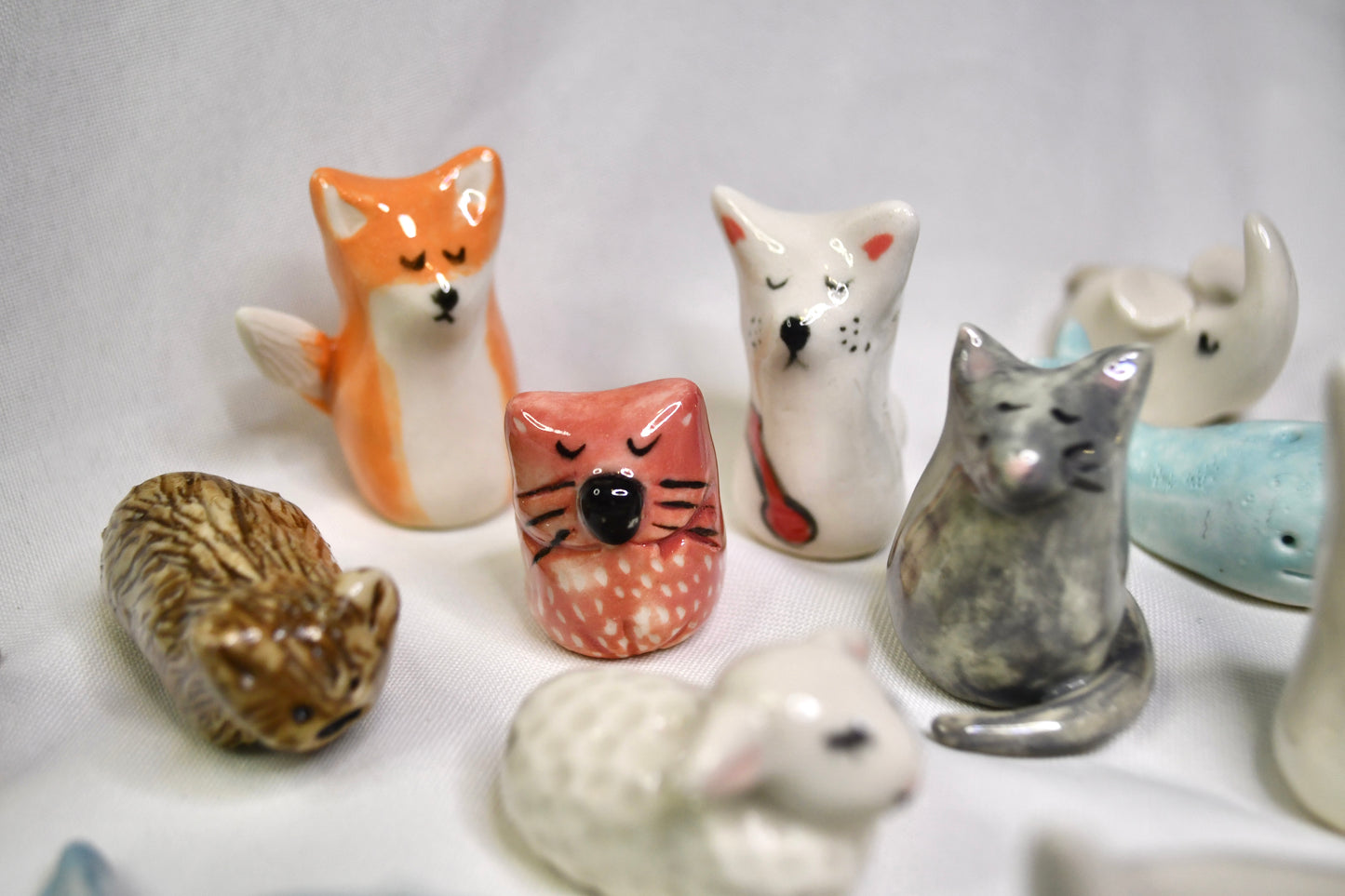 Lucky Animals