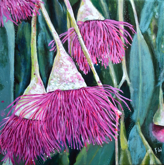 The Gum Tree told me so