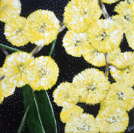 November Birth Flower - Wattle