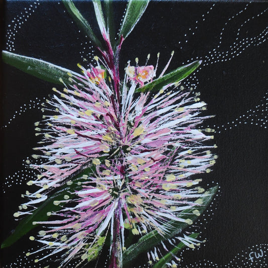 March Birth Flower - Bottlebrush