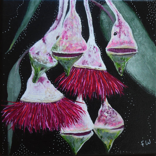 September Birth Flower - Pink Gum