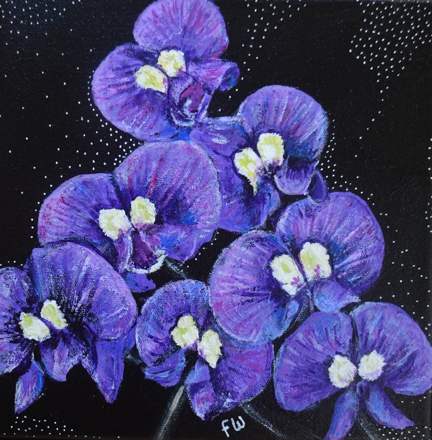 June Birth Flower - Happy Wanderer