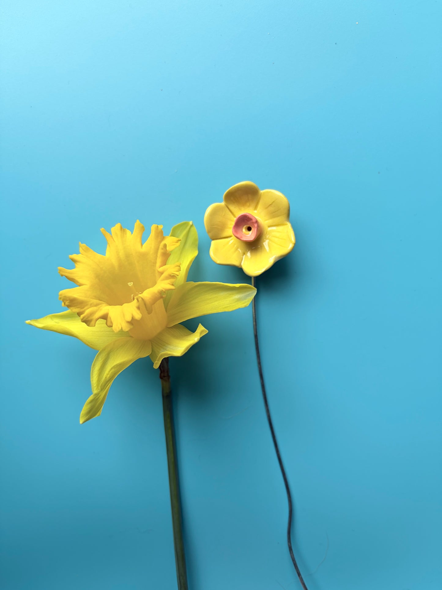 Flowers That Give