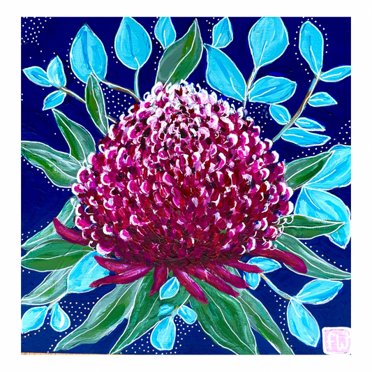 Waratah