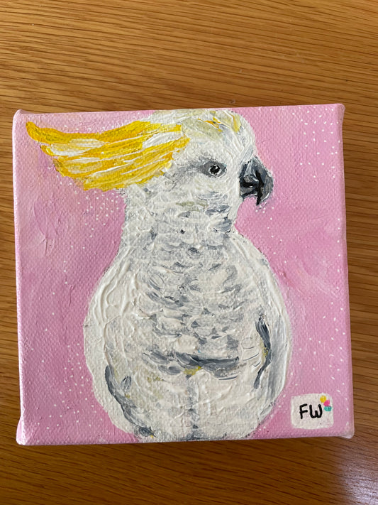 Cockatoo