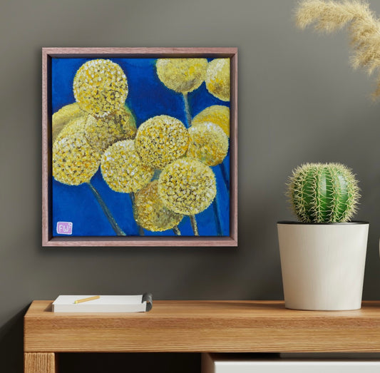 Billy Buttons